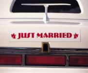 las vegas wedding chaples.